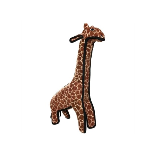 Giraffe - Girard