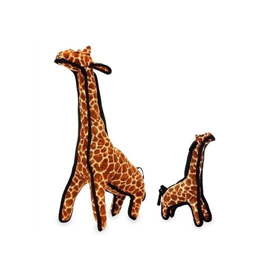 Giraffe - Girard