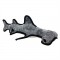 Hammerhead Shark - Hadley