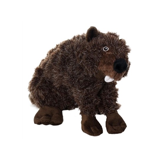 Mighty Beaver