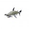 Mighty Hammerhead