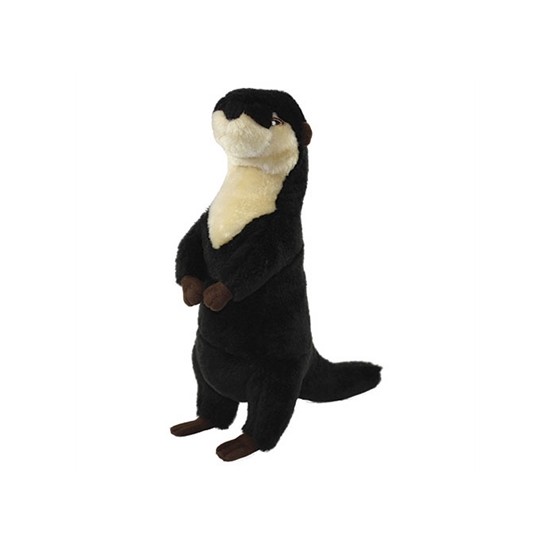 Mighty Meercat