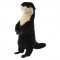 Mighty Meercat