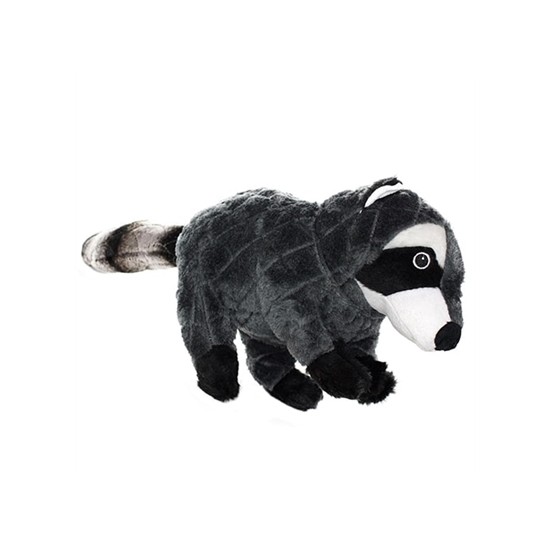 Mighty Raccoon