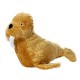 Mighty Walrus