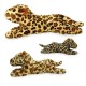 Mighty Leopard