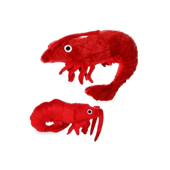 Mighty Prawn