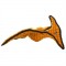 Pteradactyl
