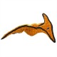 Pteradactyl