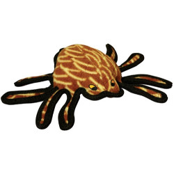 Spider - Harry the Hobo