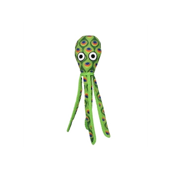 Squid