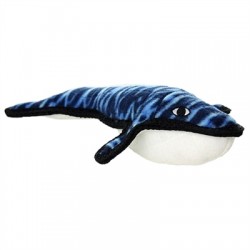 Whale - Wesley