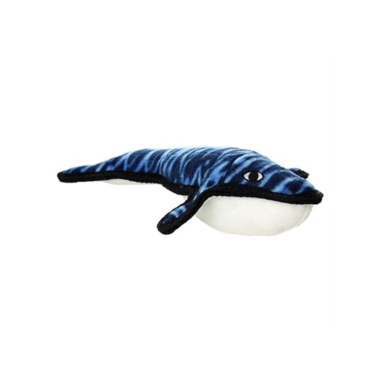 Whale - Wesley