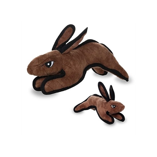 Brown Rabbit