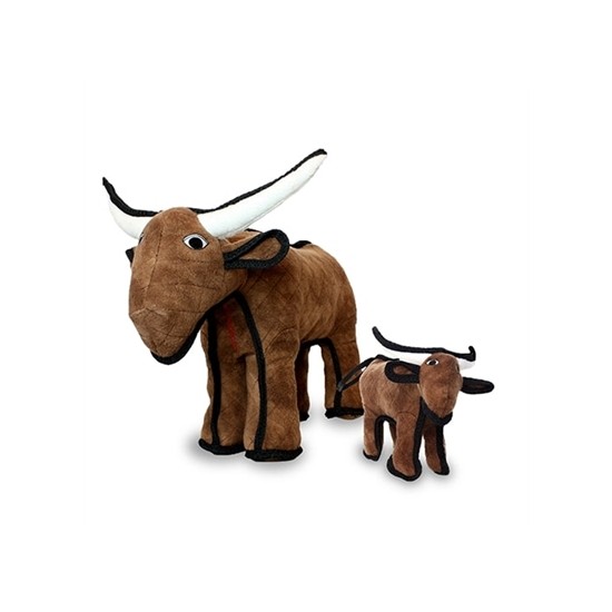 Bull - Bevo