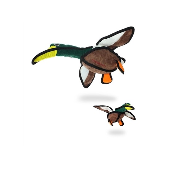 Duck - Dudley
