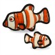 Ocean Fish