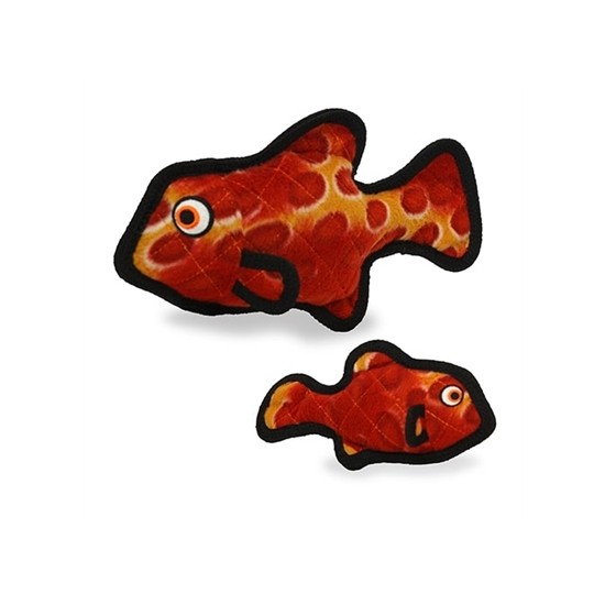 Ocean Fish