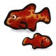 Ocean Fish