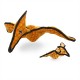 Pteradactyl