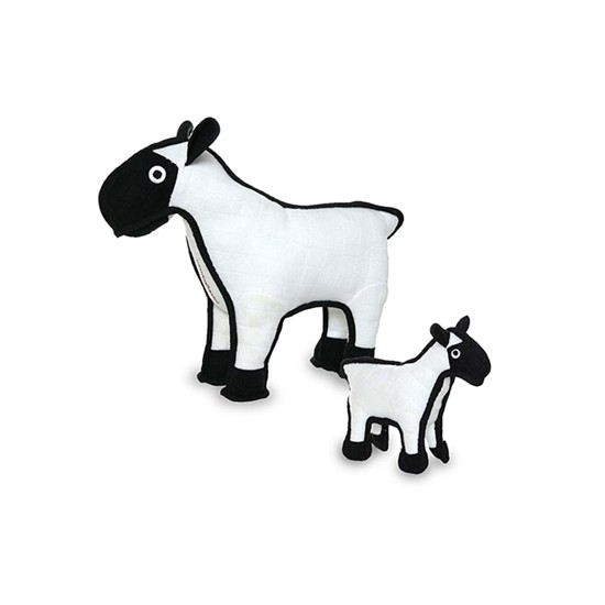 Sheep - Sherman