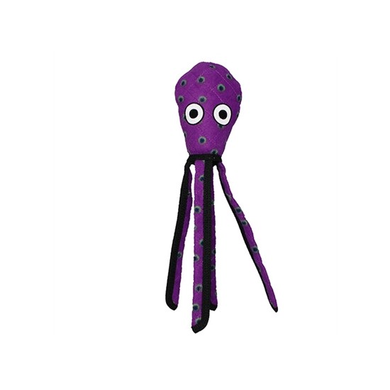 Squid