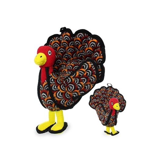 Turkey - Talulah