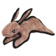 Brown Rabbit