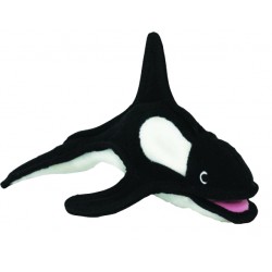 Killer Whale - Kinley