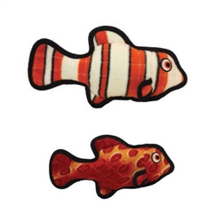 Ocean Fish