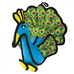 Peacock - Peyton