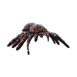 Tarantula