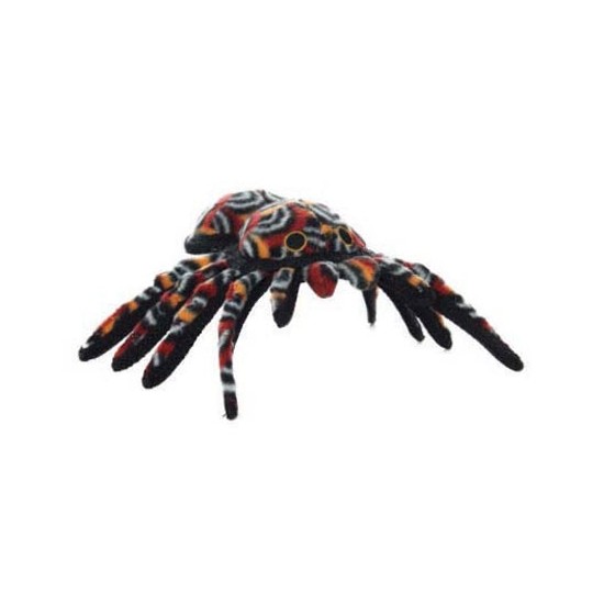 Tarantula