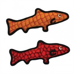 Trout