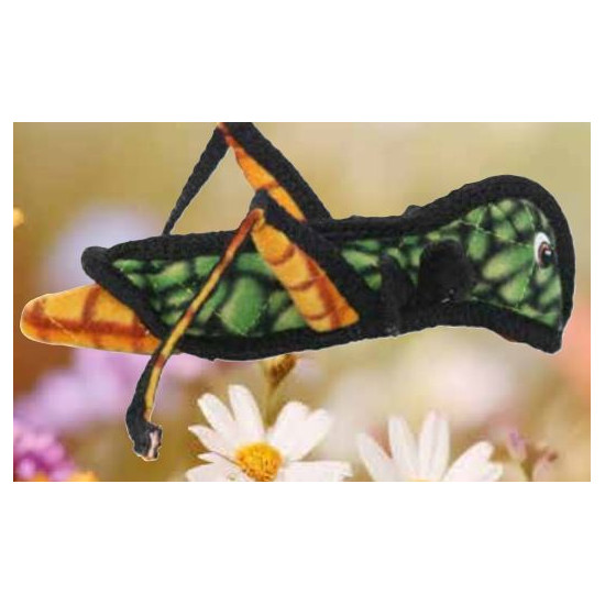 Grasshopper