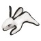 White Rabbit