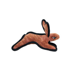 Brown Rabbit