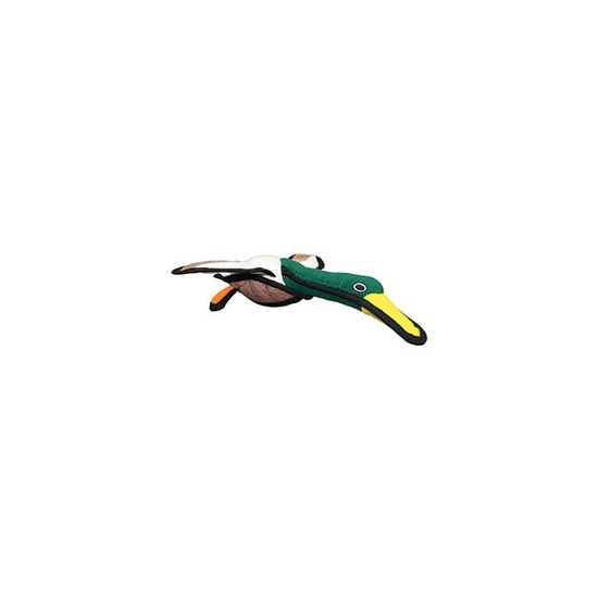 Duck - Dudley