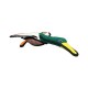 Duck - Dudley