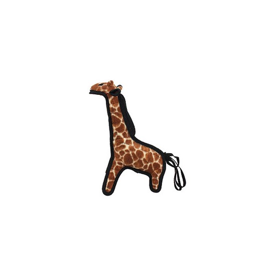 Giraffe - Girard