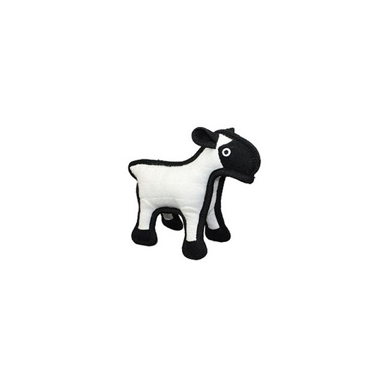 Sheep - Sherman