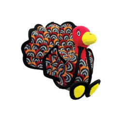 Turkey - Talulah