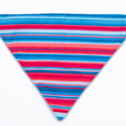 Bernie Bandana
