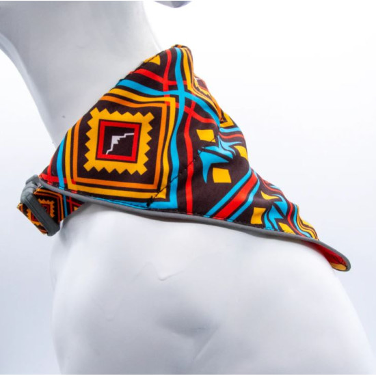 Bernie Bandana