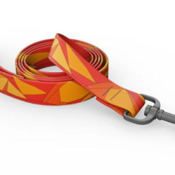 Bowie Dog Leash