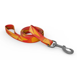 Bowie Dog Leash