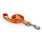 Bowie Dog Leash
