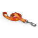 Bowie Dog Leash