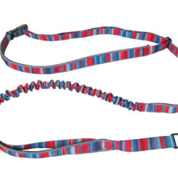 Goose Active Leash
