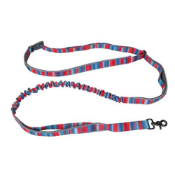 Goose Active Leash